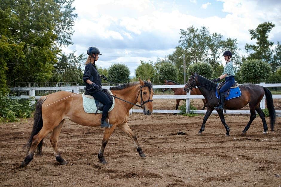 Why You Should Try Equine Therapy
