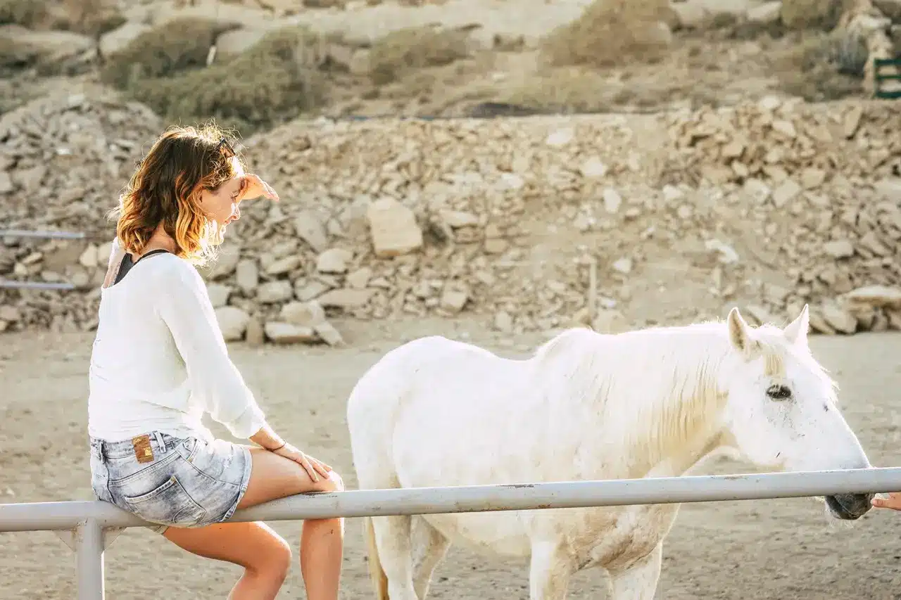 girl in a white shirt sitting on a fence while playing with a white horse during an equine therapy session