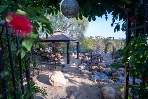 beautiful spacious backyard of the Villa Oasis estate