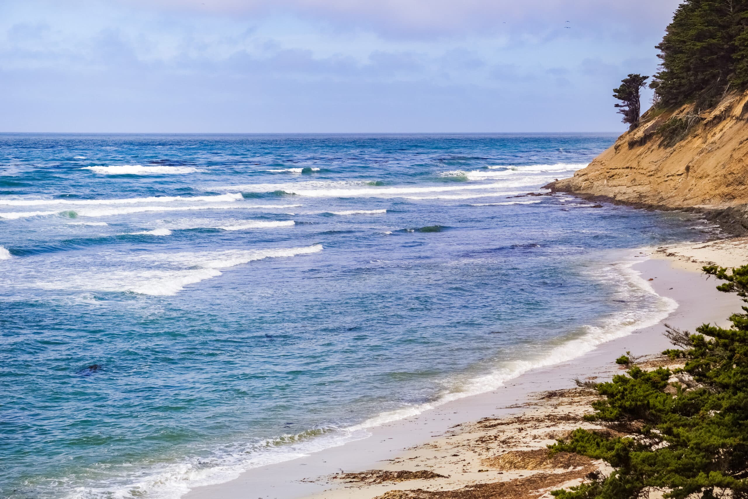 The scenic Pacific Ocean coastline, Moss Beach, California