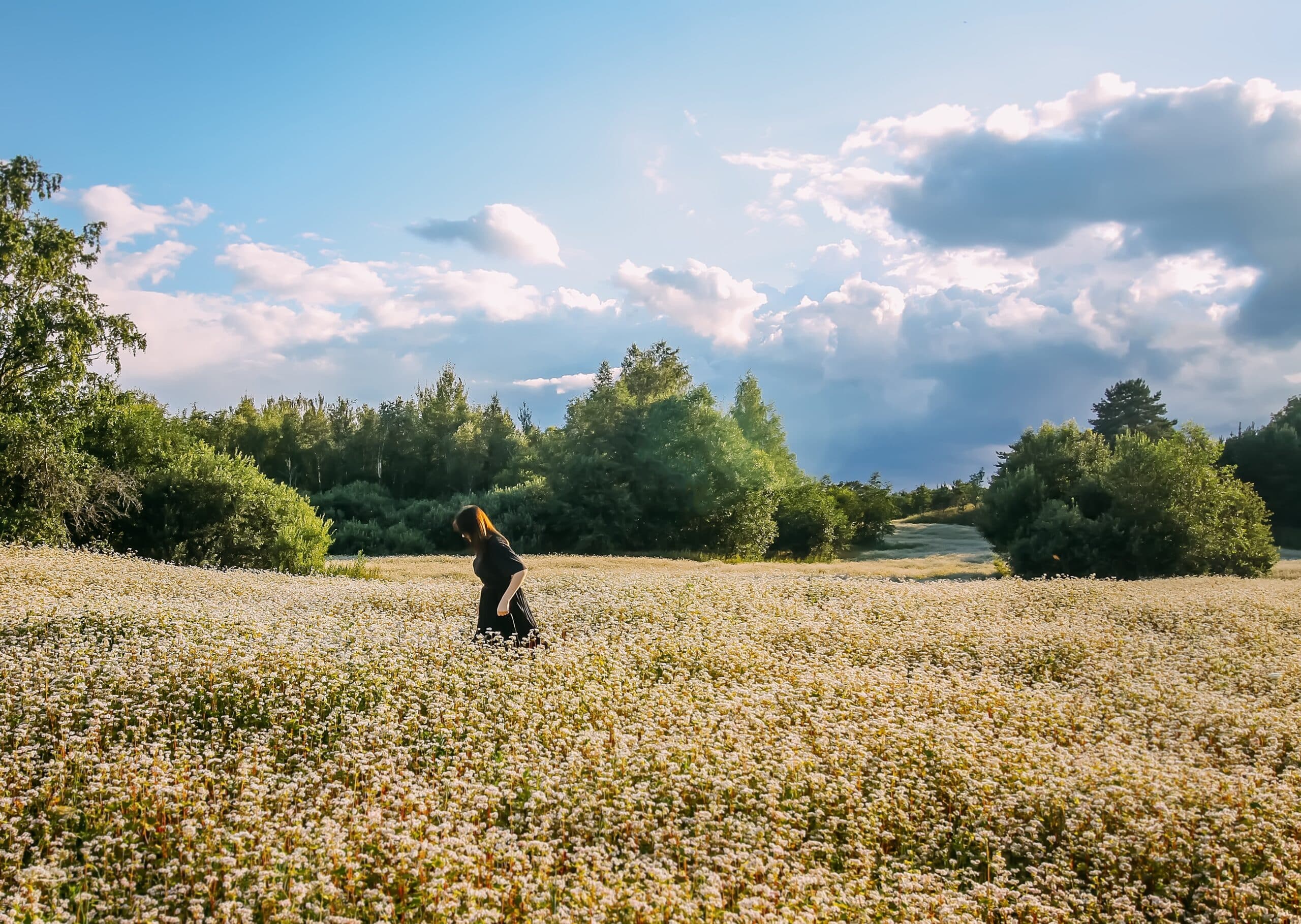 young-girl-in-black-dress-collects-flowers-in-summ