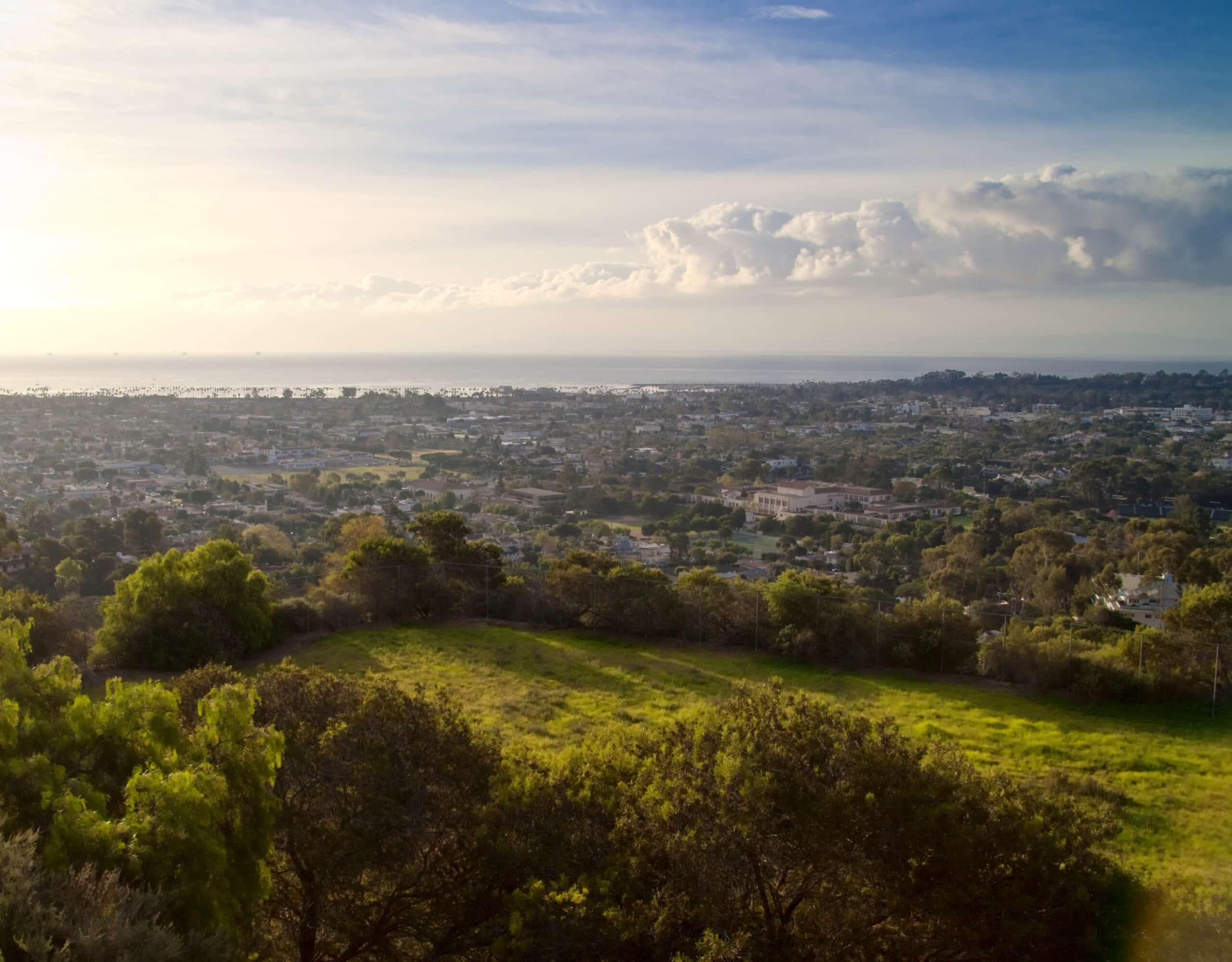 Residential Landscape