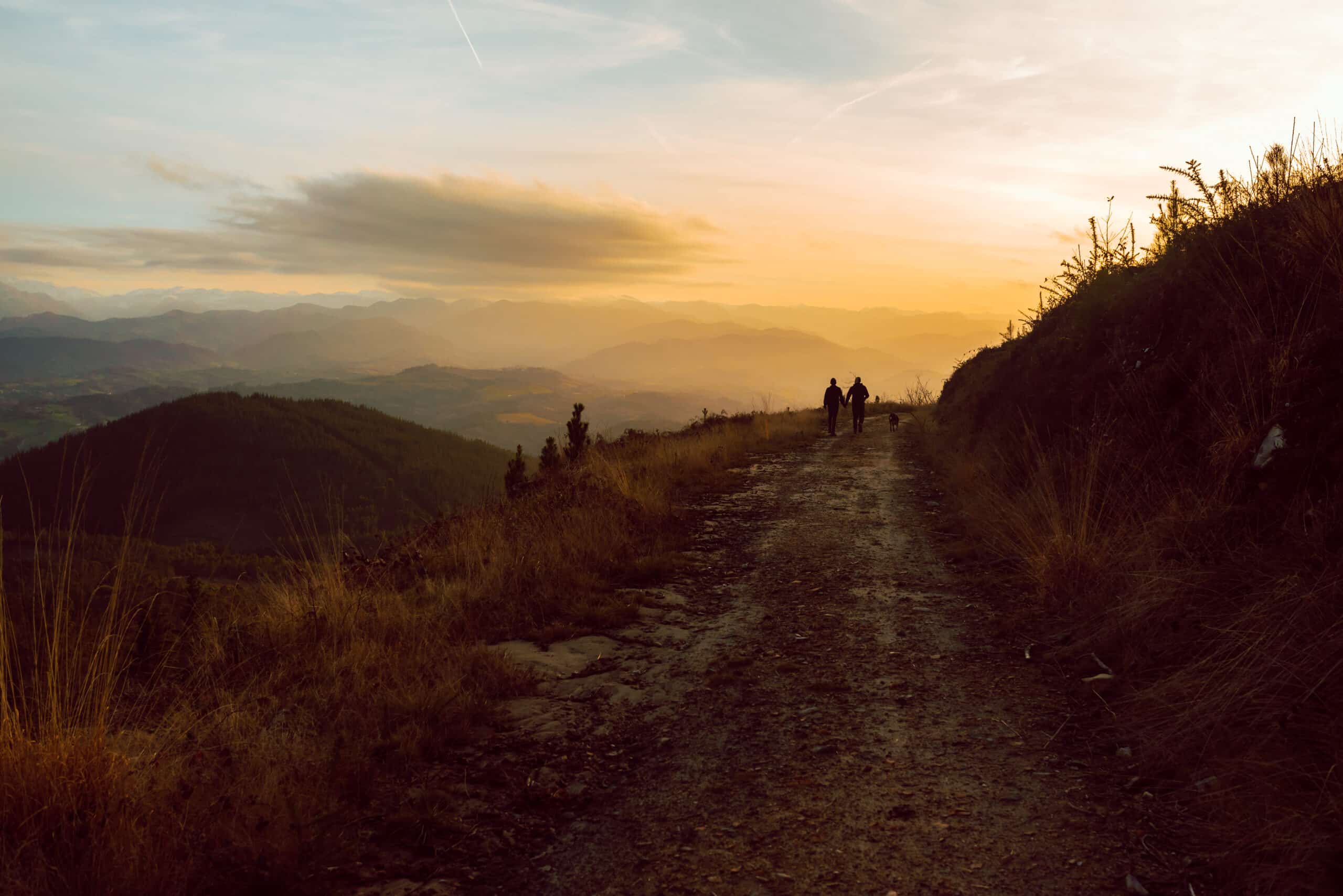 Side view of homosexual couple embracing near dog on route in darkness and picturesque view of valley in fog