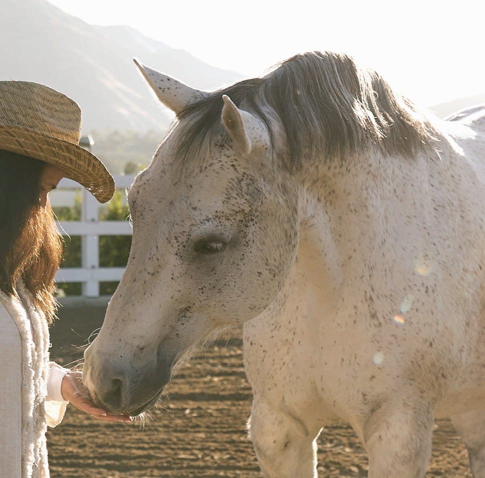 Person in a straw hat standing with a speckled grey horse in a sunlit ranch arena in Rancho Santa Fe