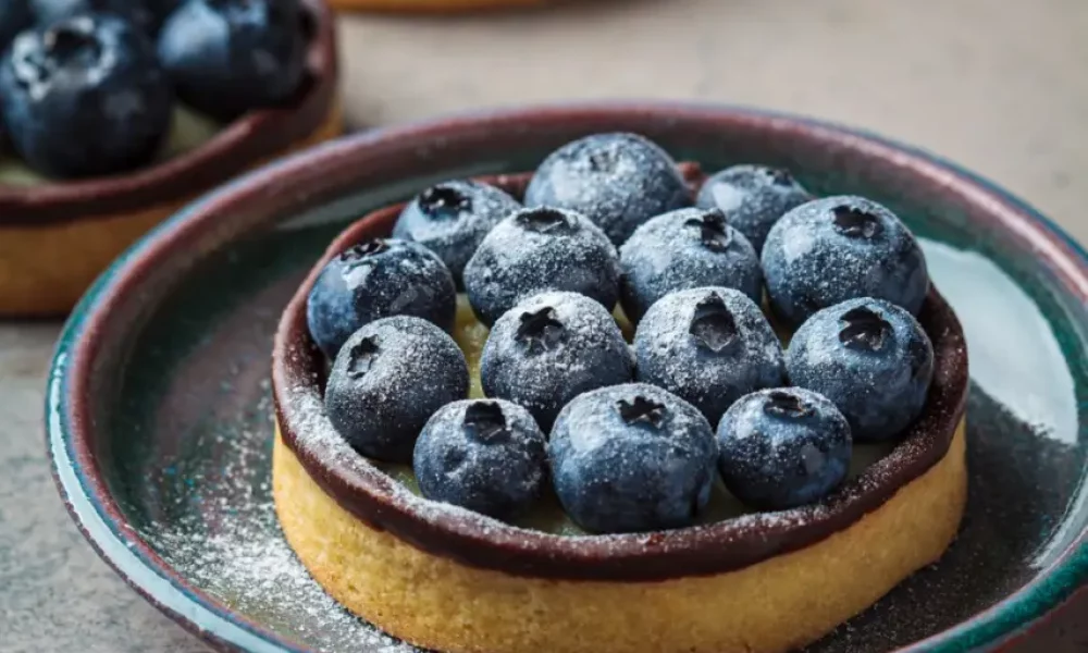 A blueberry tartlet with chocolate and powdered sugar